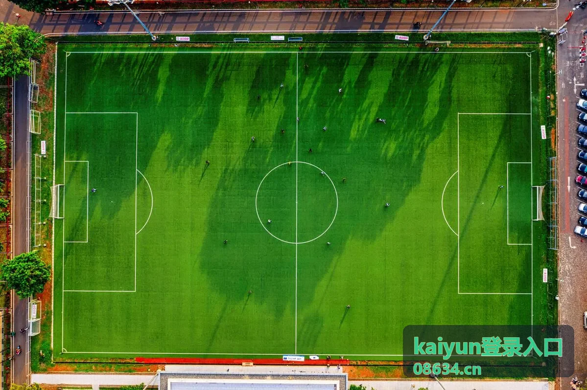 kaiyun登录入口异常提醒设置入口