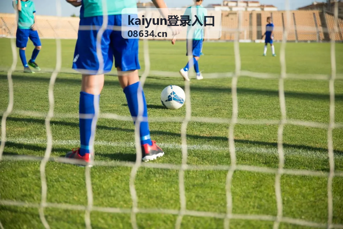 kaiyun登录入口新手上手指引