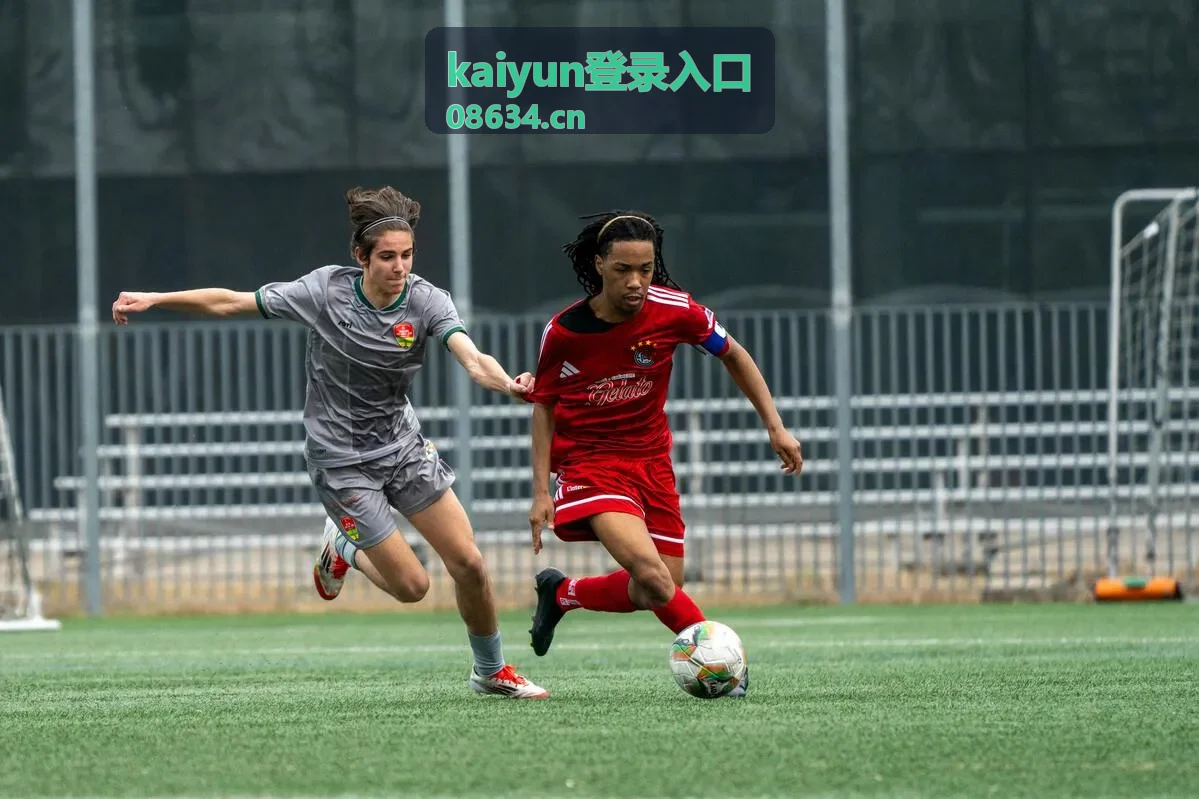 kaiyun登录入口操作流程步骤示意