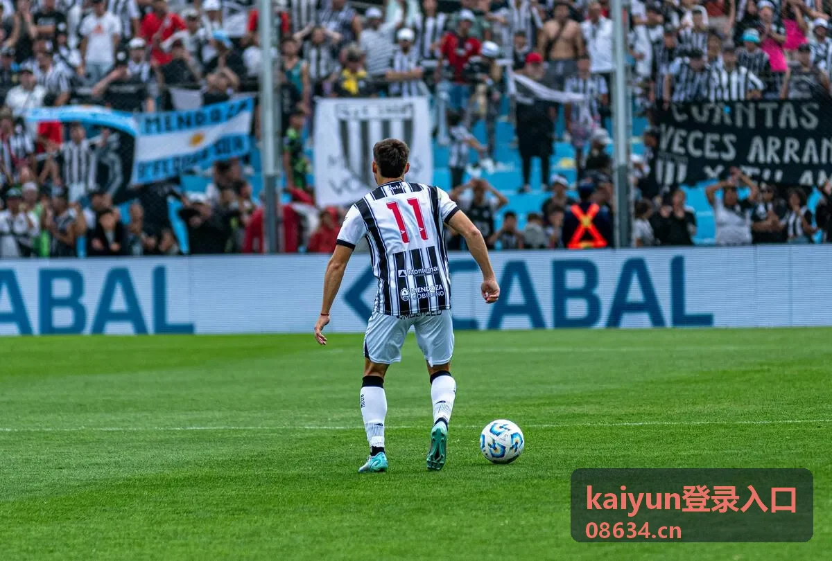 kaiyun登录入口账号安全验证的密码与验证设置示意