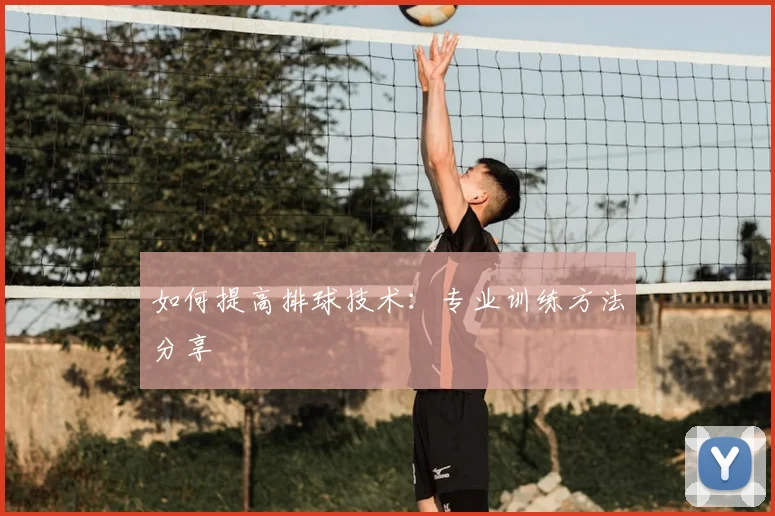 如何提高排球技术：专业训练方法分享