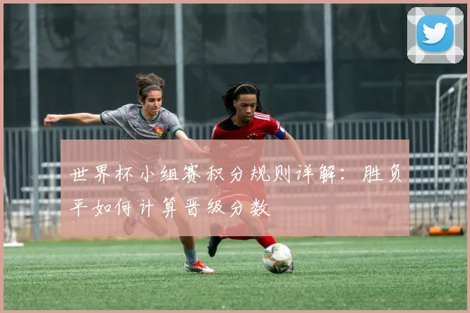 世界杯小组赛积分规则详解：胜负平如何计算晋级分数