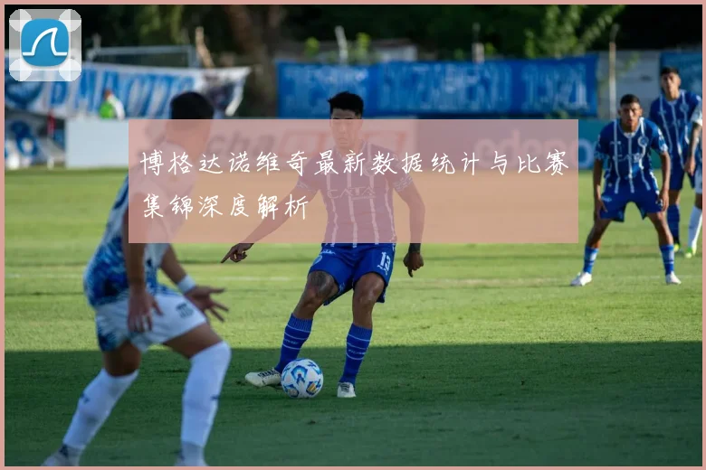 博格达诺维奇最新数据统计与比赛集锦深度解析