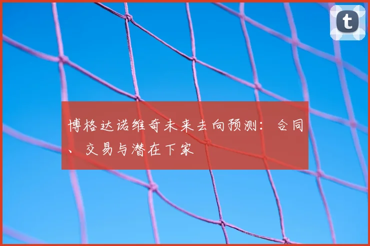 博格达诺维奇未来去向预测：合同、交易与潜在下家