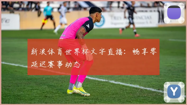 新浪体育世界杯文字直播：畅享零延迟赛事动态