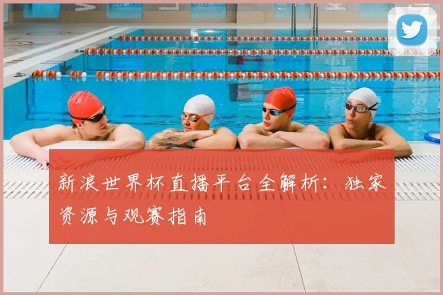 新浪世界杯直播平台全解析：独家资源与观赛指南