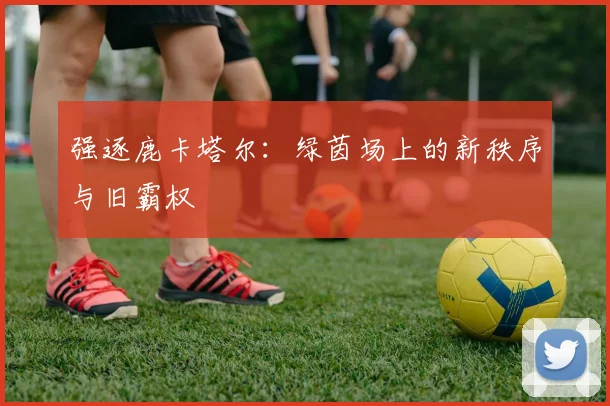 强逐鹿卡塔尔：绿茵场上的新秩序与旧霸权