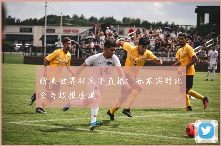 新浪世界杯文字直播:独家实时比分与战报速递