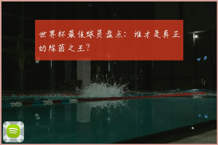 世界杯最佳球员盘点：谁才是真正的绿茵之王？