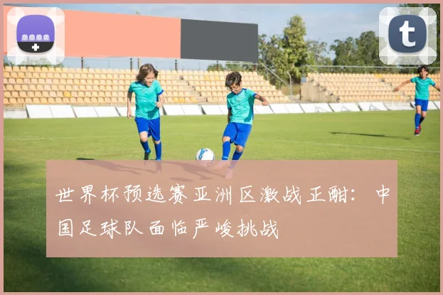 世界杯预选赛亚洲区激战正酣：中国足球队面临严峻挑战