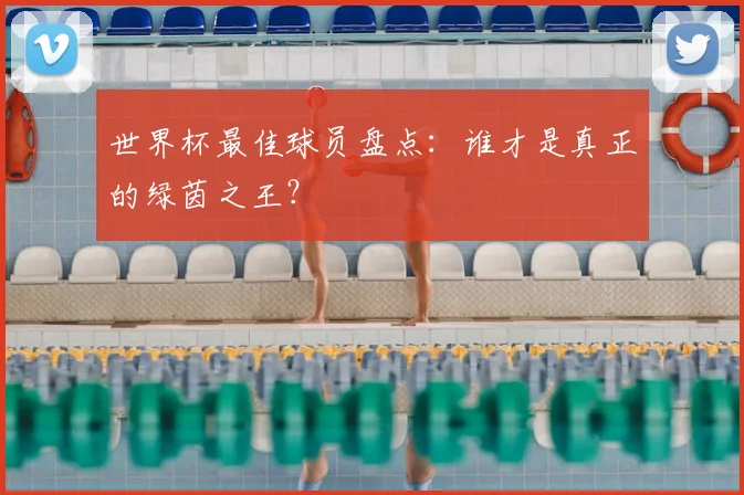 世界杯最佳球员盘点：谁才是真正的绿茵之王？