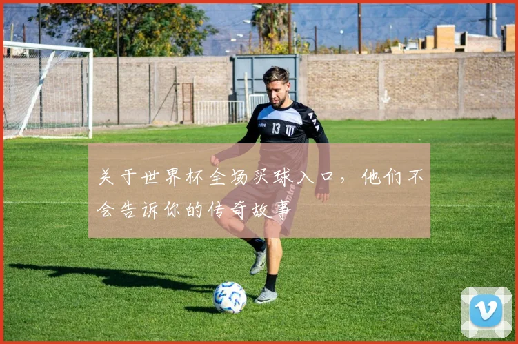 关于世界杯全场买球入口，他们不会告诉你的传奇故事