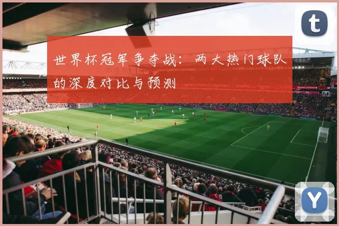 世界杯冠军争夺战：两大热门球队的深度对比与预测