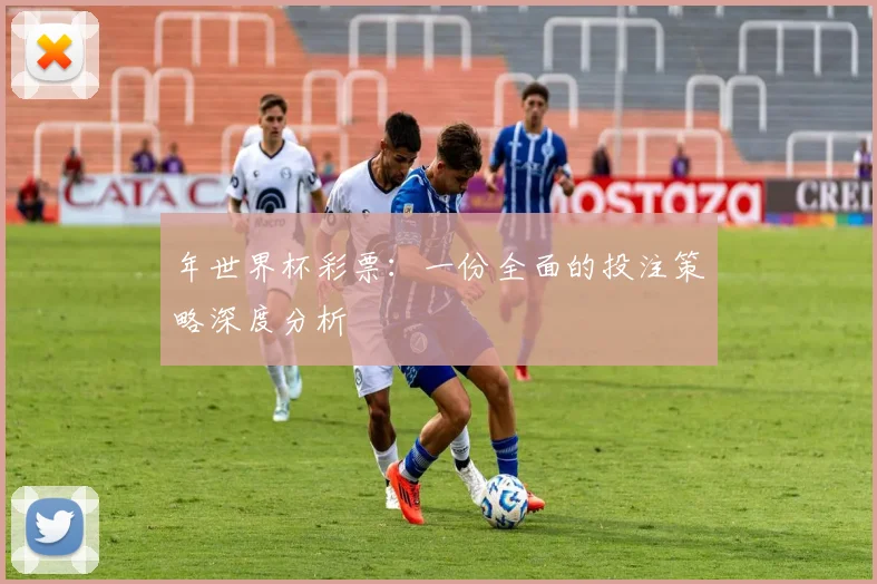 年世界杯彩票：一份全面的投注策略深度分析
